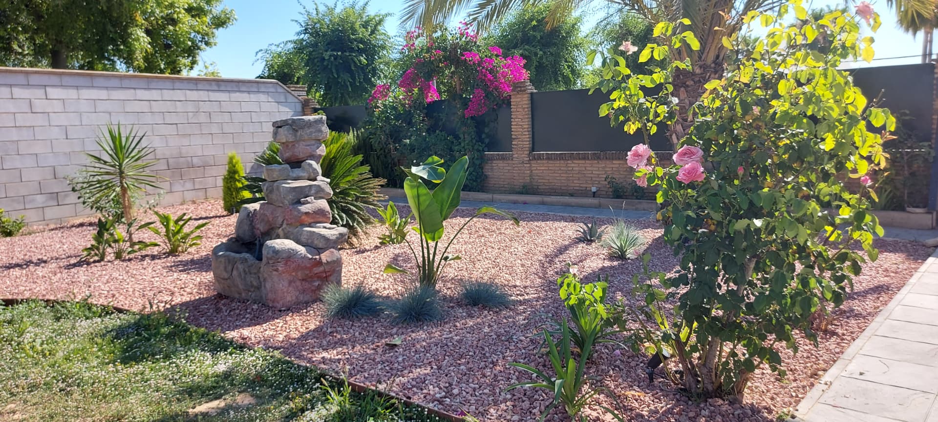 Jardín con fuente de piedra, rosales y buganvilla en flor