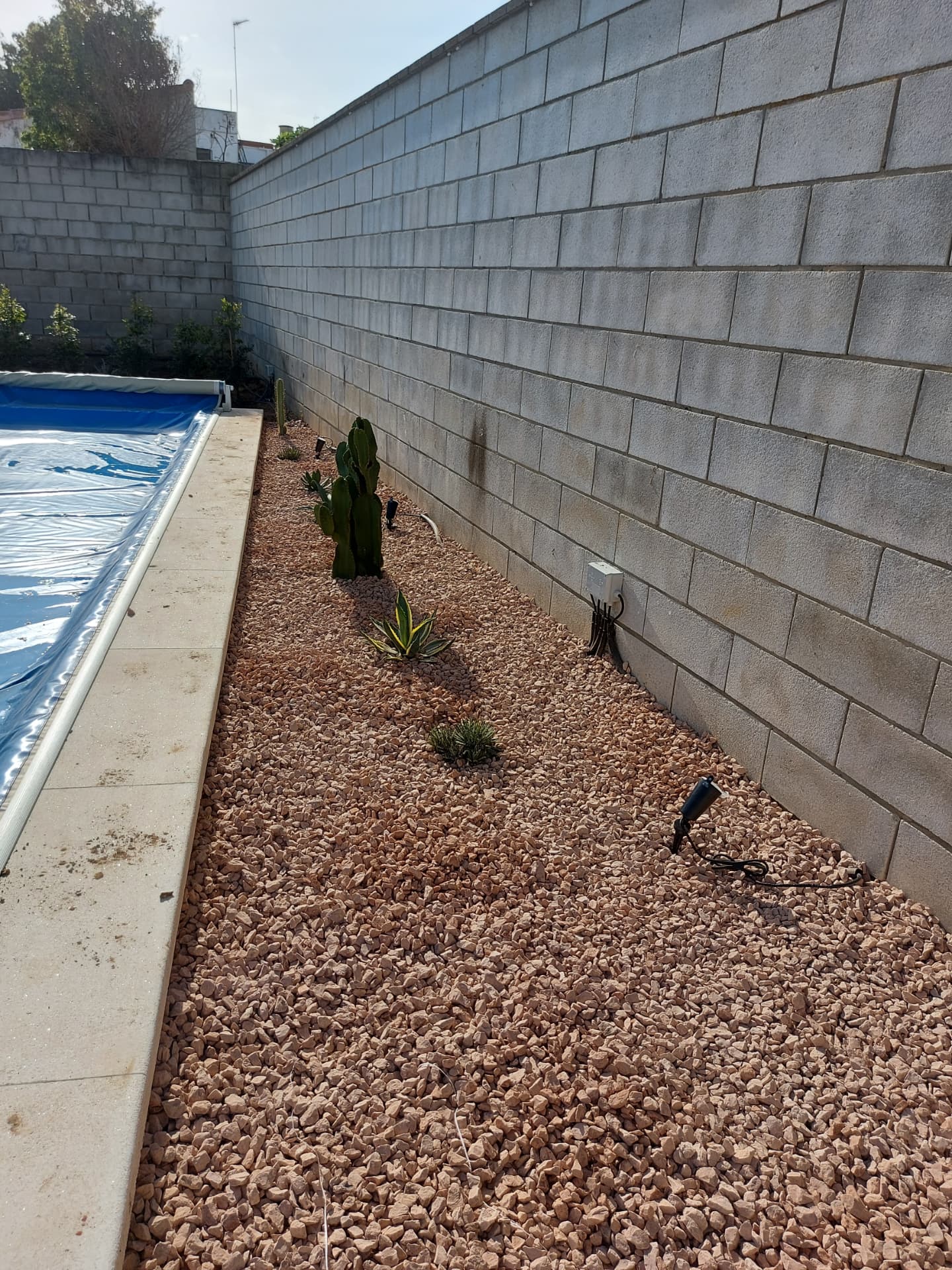 Xerojardín perimetral con cactáceas