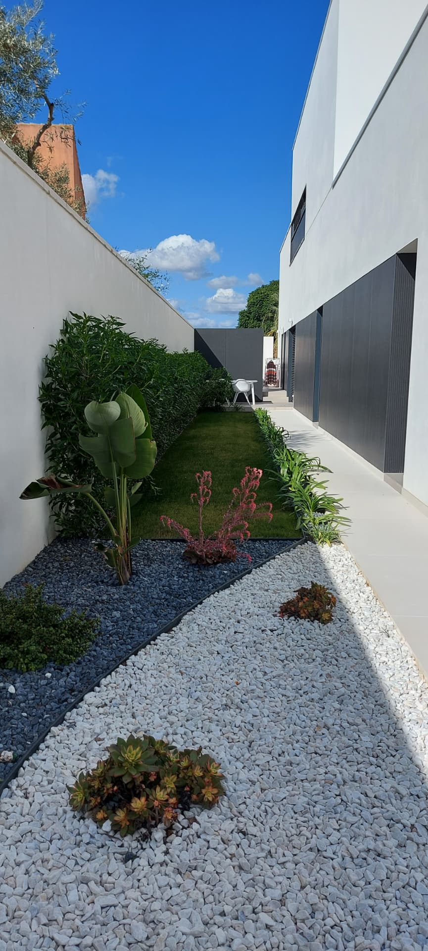 Pasillo lateral de vivienda moderna con grava blanca y gris, franja de césped y strelitzia