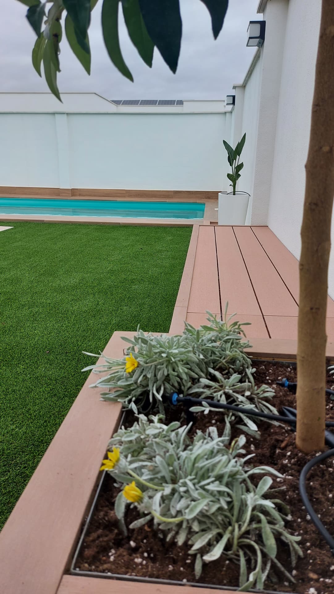 Jardín con césped, piscina de agua turquesa y jardinera de composite con riego por goteo