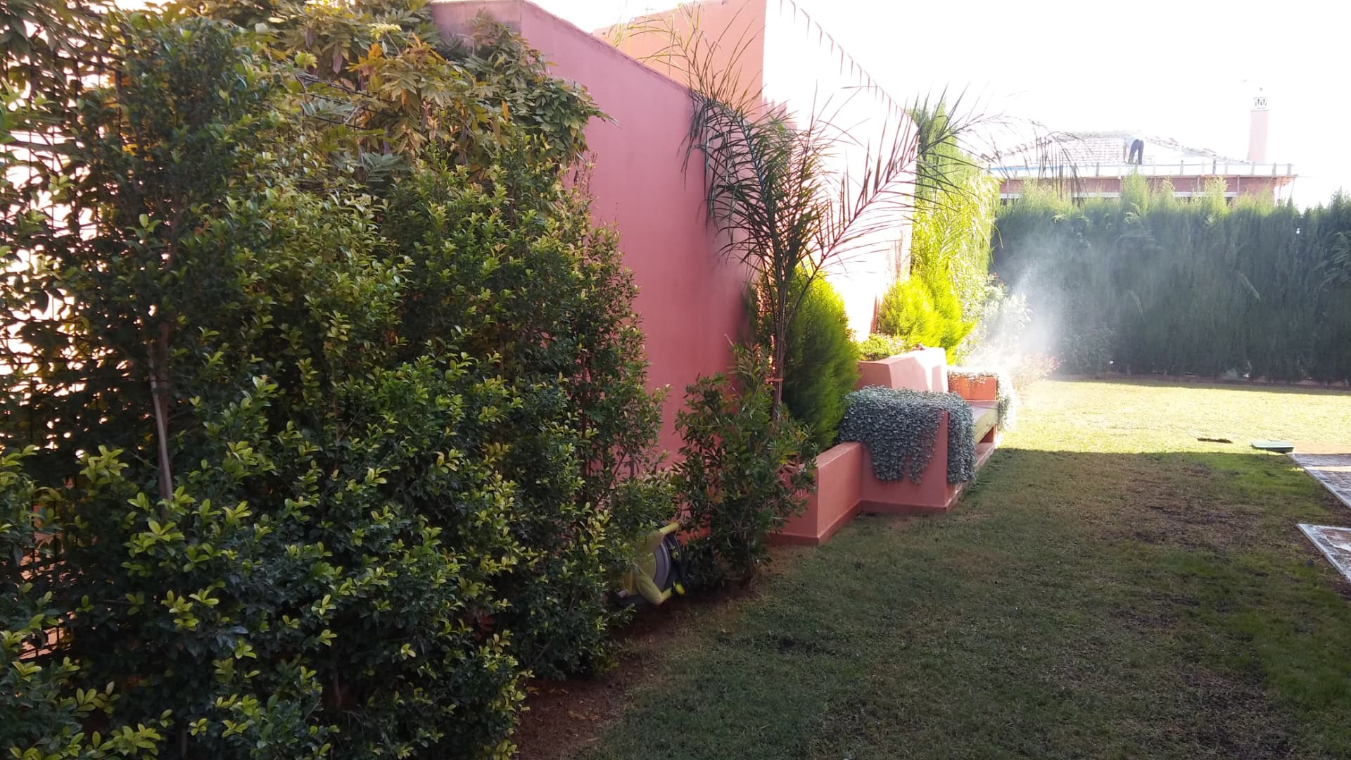 Riego eficiente: Riego programado y setos de bajo mantenimiento para un jardín estable.